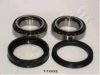 ASHIKA 44-11002 Wheel Bearing Kit